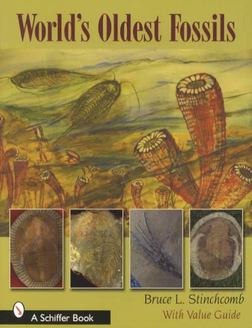 Worlds Oldest Fossils Collectors ID Guide Cambrian & Other Periods 